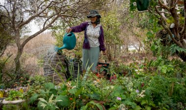 BAMIN lança projeto ‘Nossa Flora Frutificando’ com livro e exposição sobre riquezas naturais do Alto Sertão Baiano