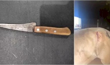 PM conduz homem por ameaça e agressão na zona rural de Caetité; cavalo foi atingido com faca