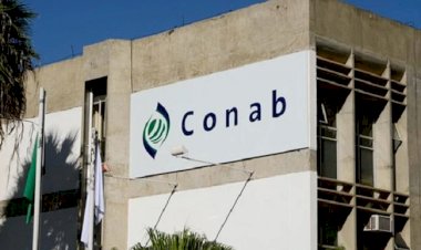 Concurso da Conab com salários de até R$ 8,1 mil oferece mais de 400 vagas; veja quais são
