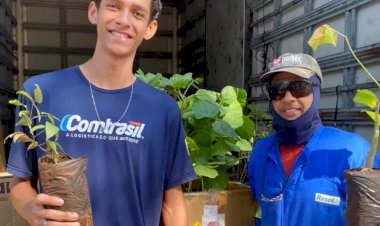 RHI Magnesita lança projeto que une logística e sustentabilidade