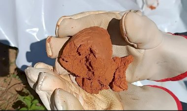 Goiás mira protagonismo global com minerais críticos