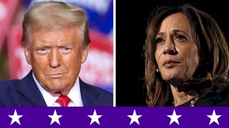 Trump é eleito presidente dos EUA: veja que Estados votaram no republicano ou em Kamala Harris