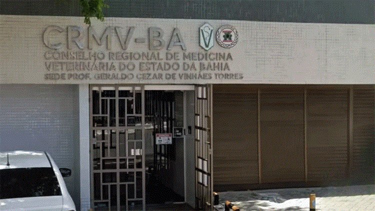 Conselho Regional de Medicina Veterinária da Bahia abre concurso com salários de até R$ 8 mil