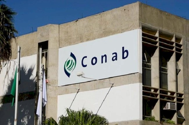 Concurso da Conab com salários de até R$ 8,1 mil oferece mais de 400 vagas; veja quais são